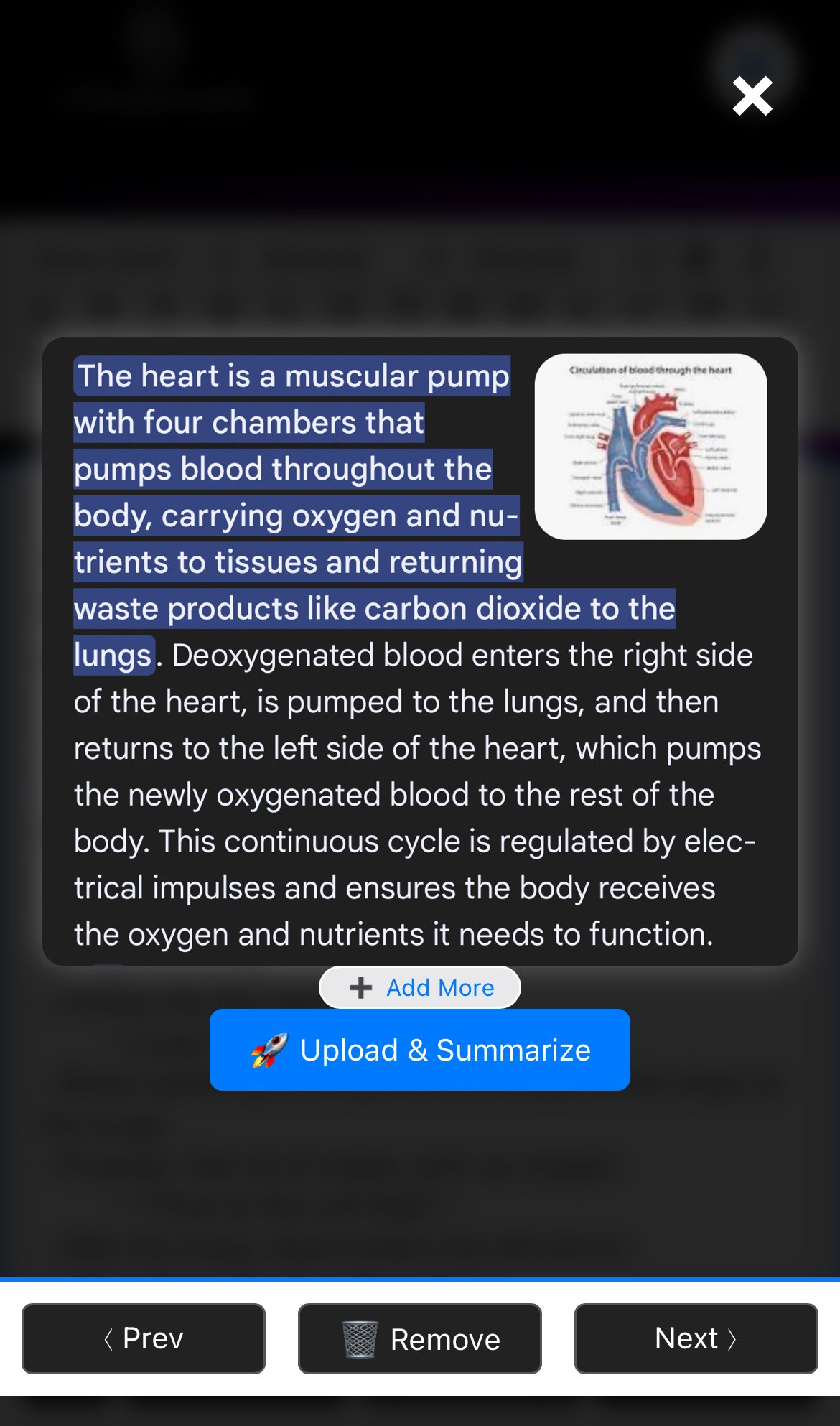 AI Summarizer example